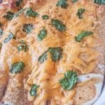 easy chicken enchiladas