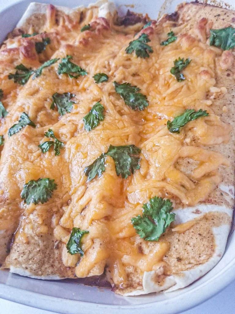 easy chicken enchiladas