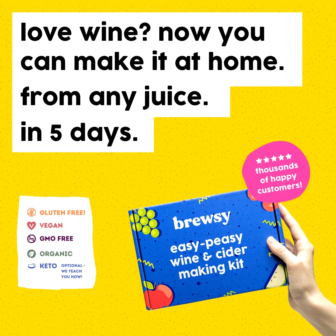 brewsy wine at home kit