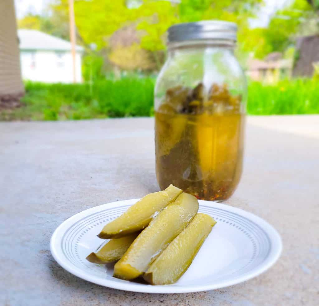 pickle spears on white plate with jar of pickles behind them. 