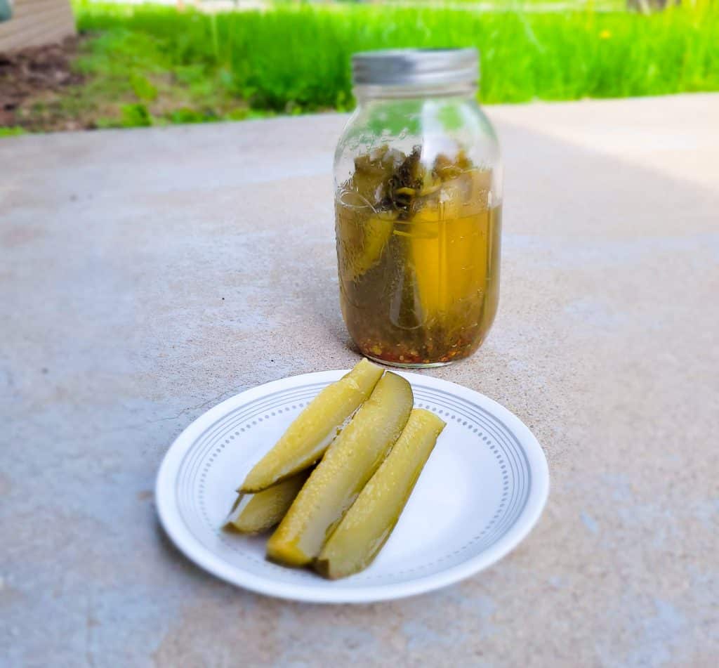 canning pickles up close with pickles on plate. 