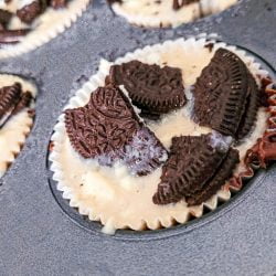 philadelphia oreo cheesecake bites