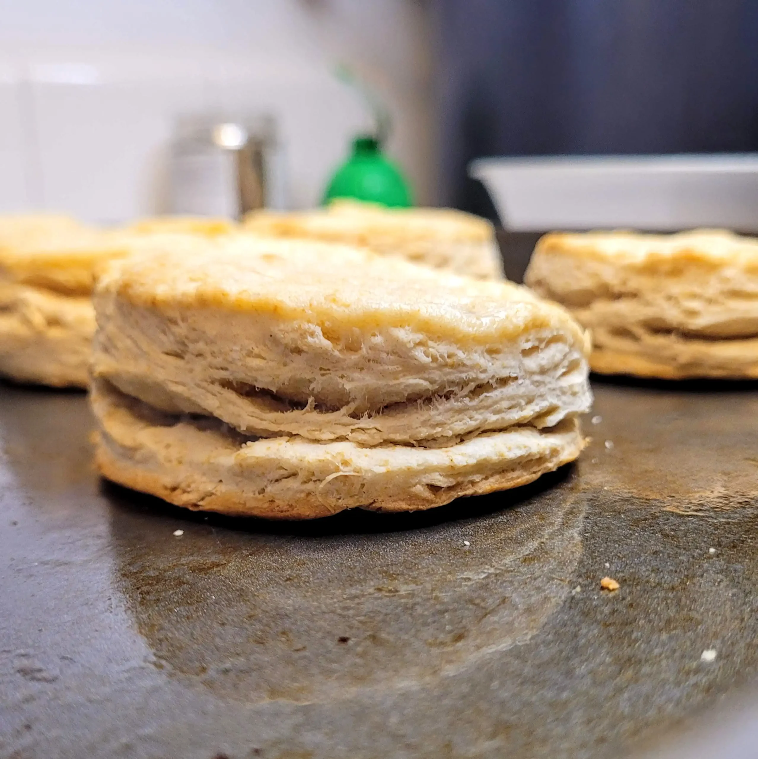 Single homemade biscuit close up.