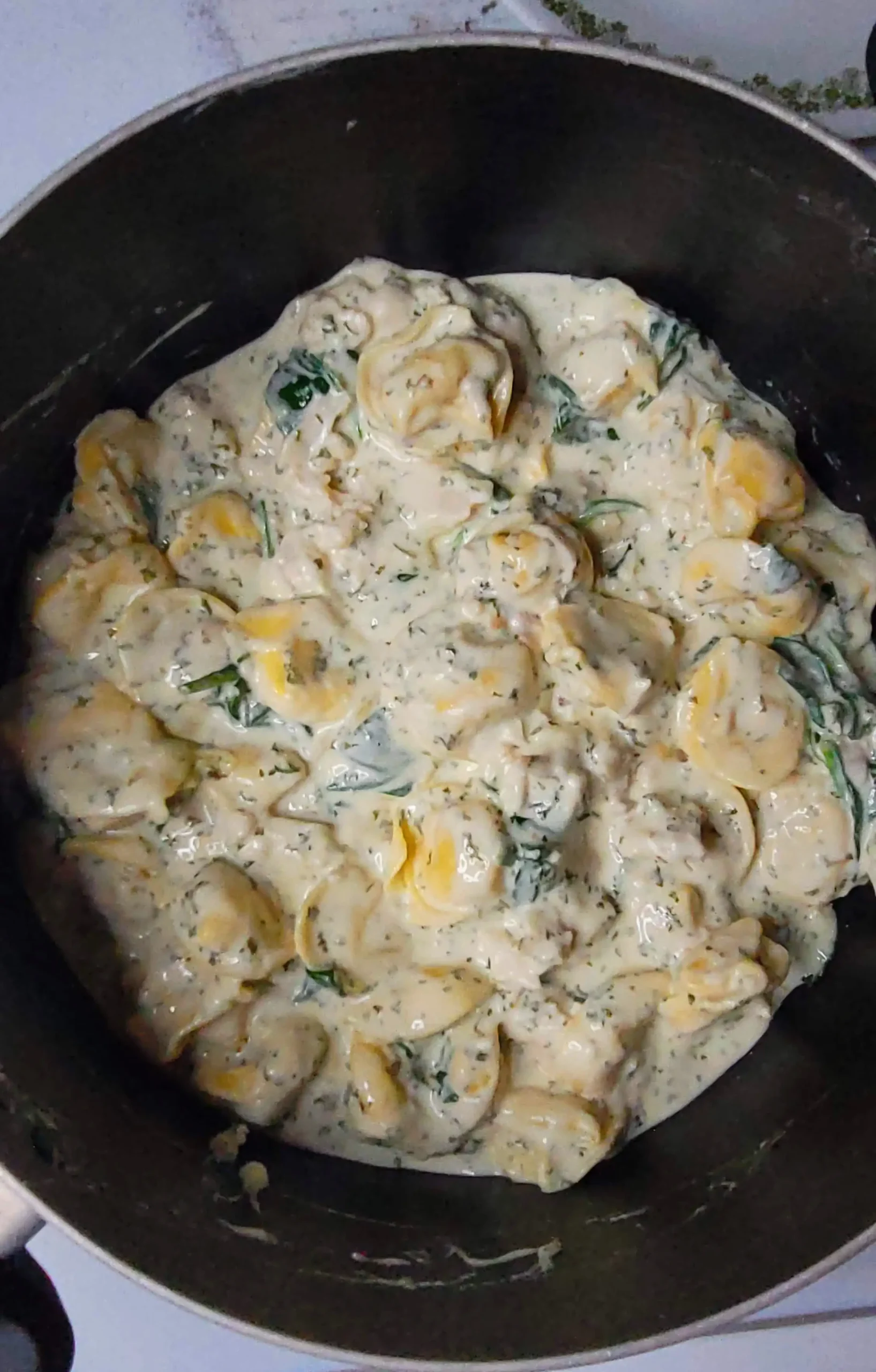 close up of tortellini alfredo recipe. 