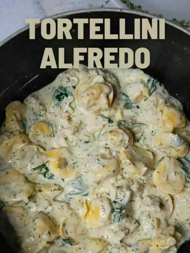 close up of tortellini alfredo.