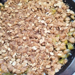 rhubarb crisp with rolled oats top view.