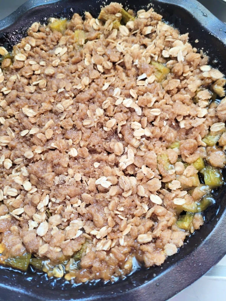 rhubarb crisp with rolled oats top view.