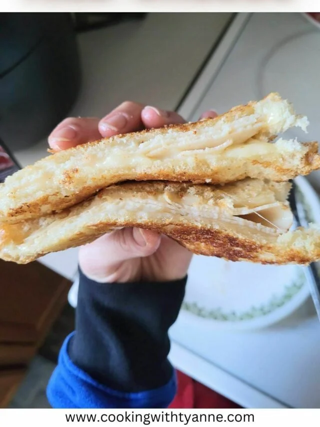 ham and cheese webstory cover.